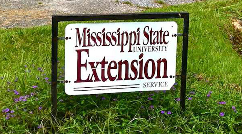 Read more about the article Stone County Extension Office