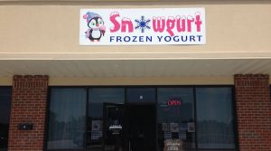 Cool Off with a Tasty Treat from Snowgurt